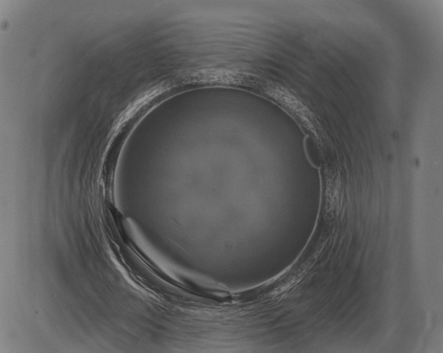 X0000085320674200703161506