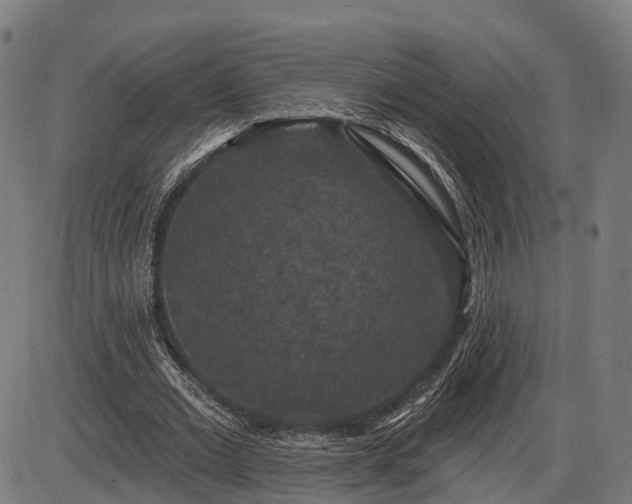 X0000085320677200703161506