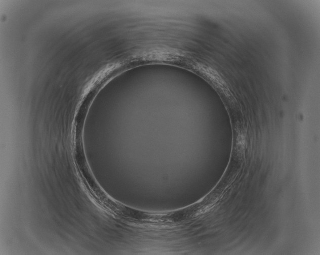 X0000085320678200703161506