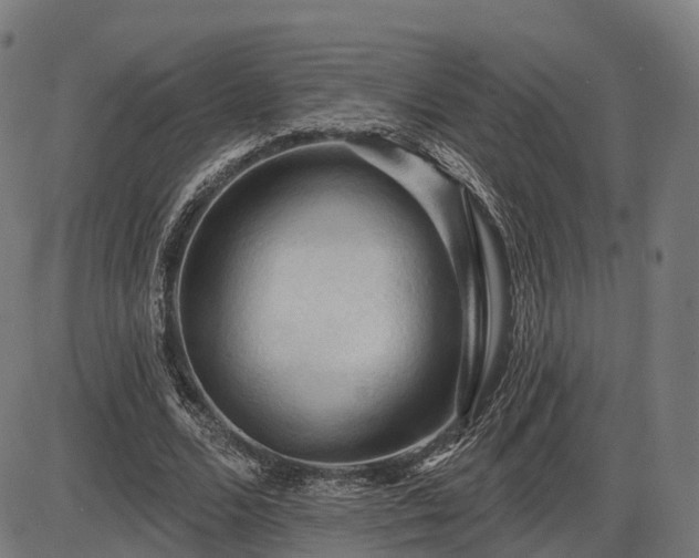 X0000085320680200703161506