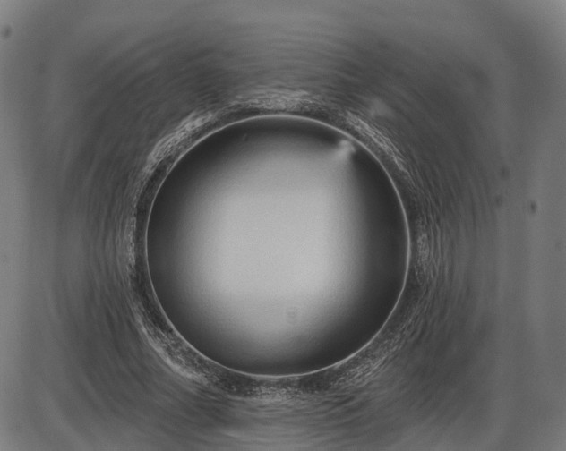 X0000085320682200703161506