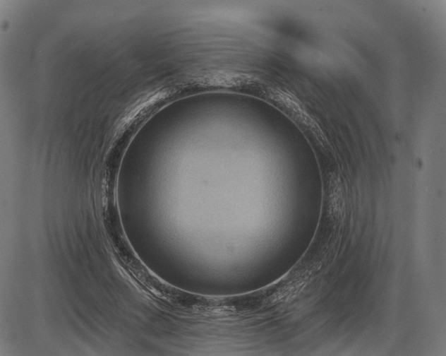 X0000085320683200703161506