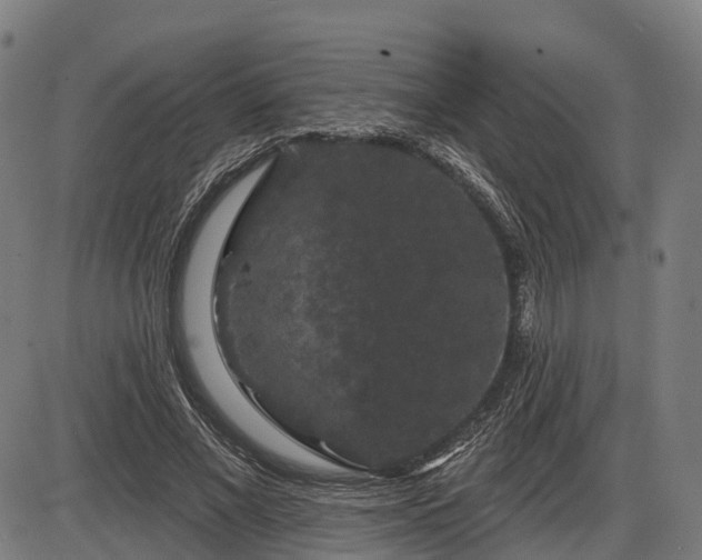 X0000085320685200703161506