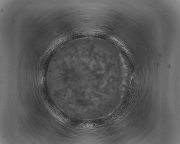 X0000085320687200703161506
