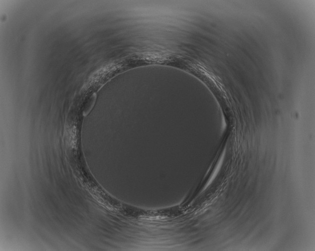 X0000085320689200703161506