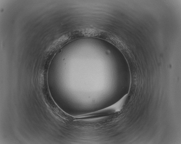 X0000085320690200703161506