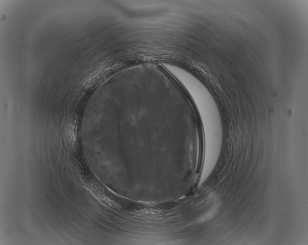 X0000085320691200703161506