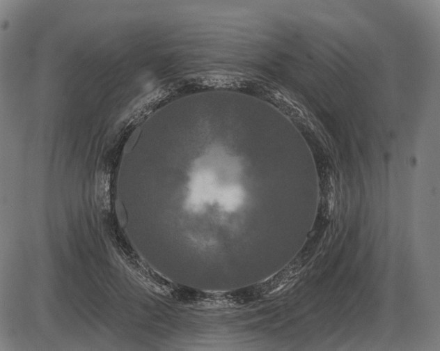 X0000085320696200703161506