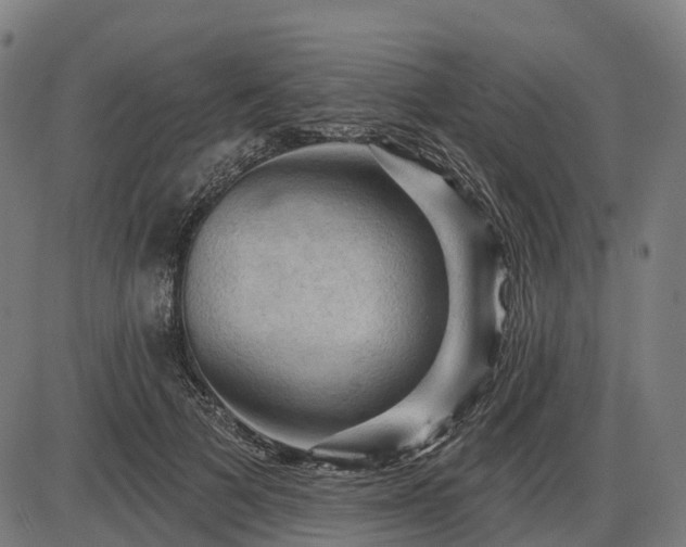 X0000085320697200703161506