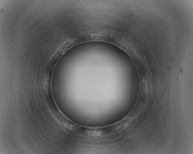 X0000085320698200703161506