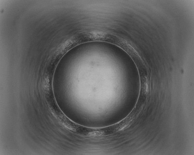 X0000085320700200703161506