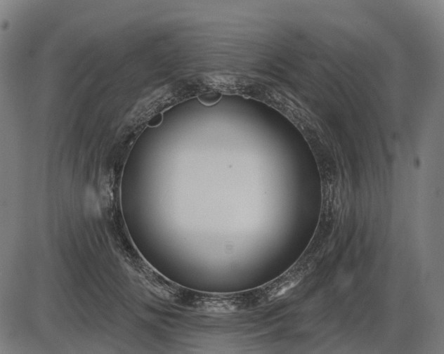 X0000085320702200703161506