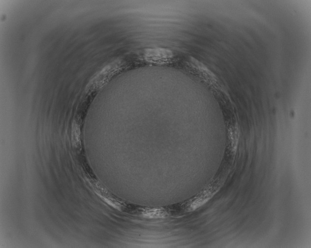 X0000085320705200703161506