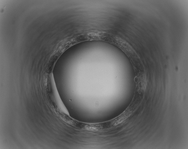 X0000085320706200703161506