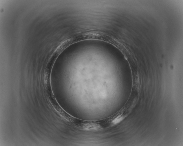 X0000085320708200703161506