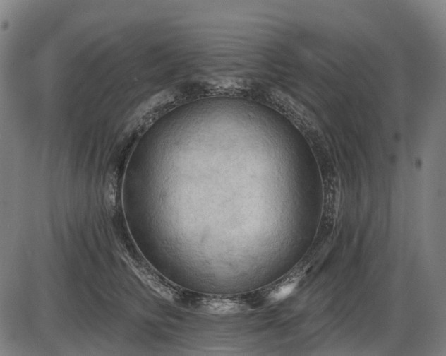 X0000085320710200703161506
