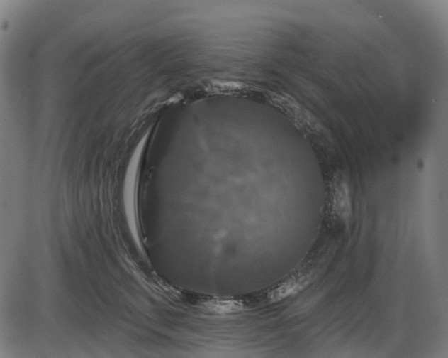 X0000085320711200703161506