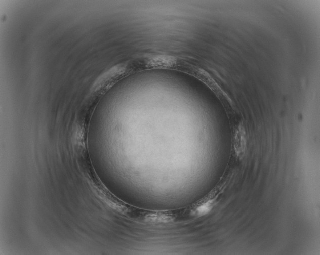 X0000085320714200703161506