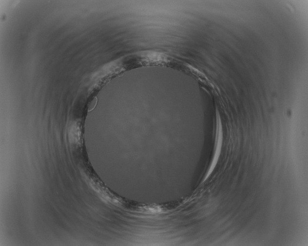 X0000085320715200703161506