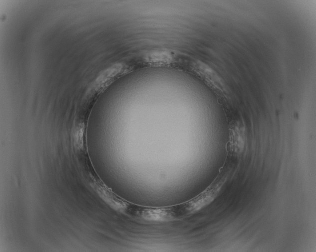 X0000085320717200703161506