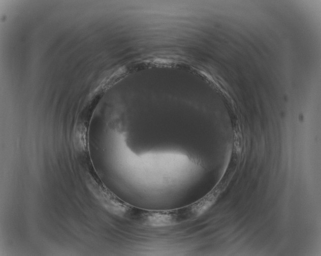 X0000085320718200703161505