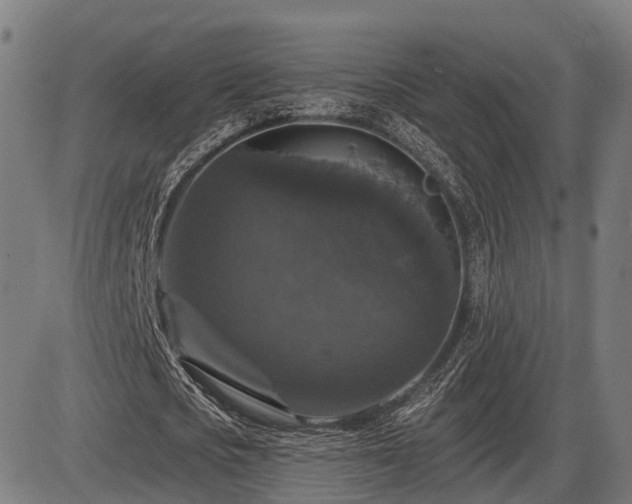 X0000085320721200703161505