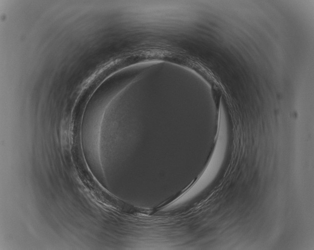 X0000085320722200703161505