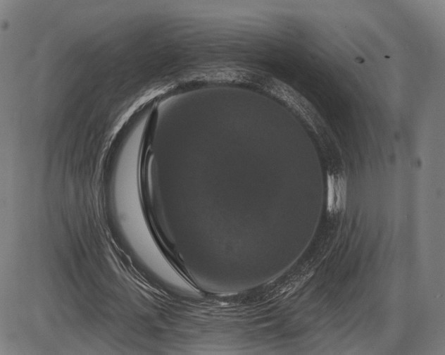 X0000085320723200703161505