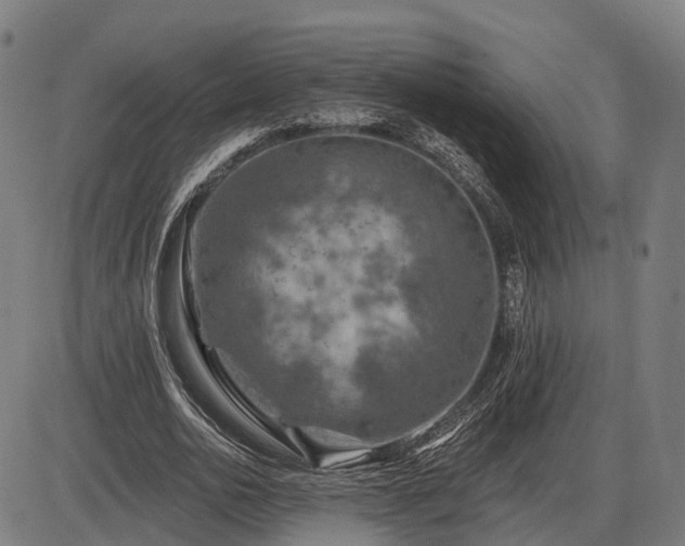 X0000085320726200703161505
