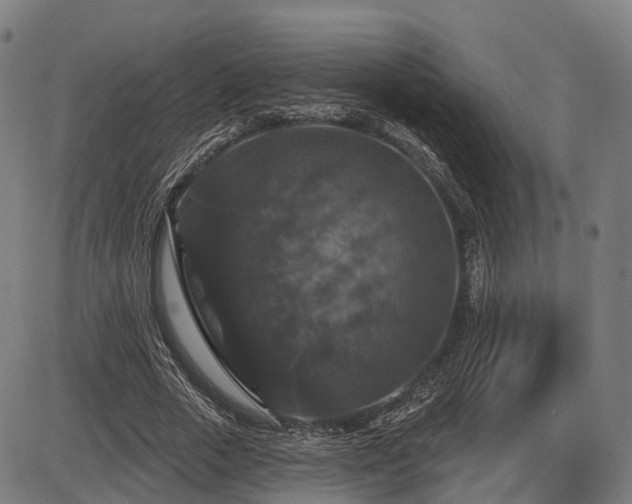 X0000085320729200703161505