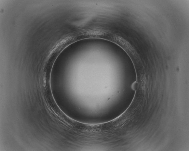 X0000085320731200703161505