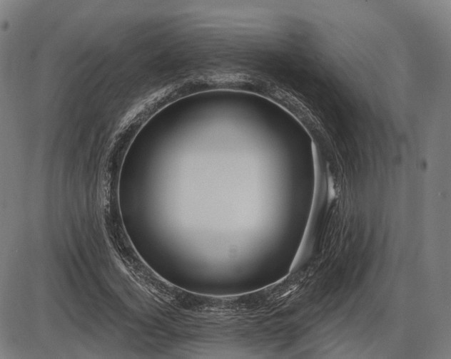 X0000085320732200703161505
