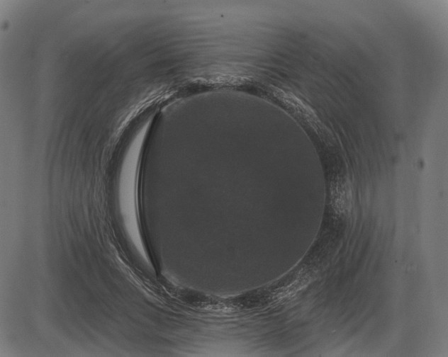 X0000085320735200703161505