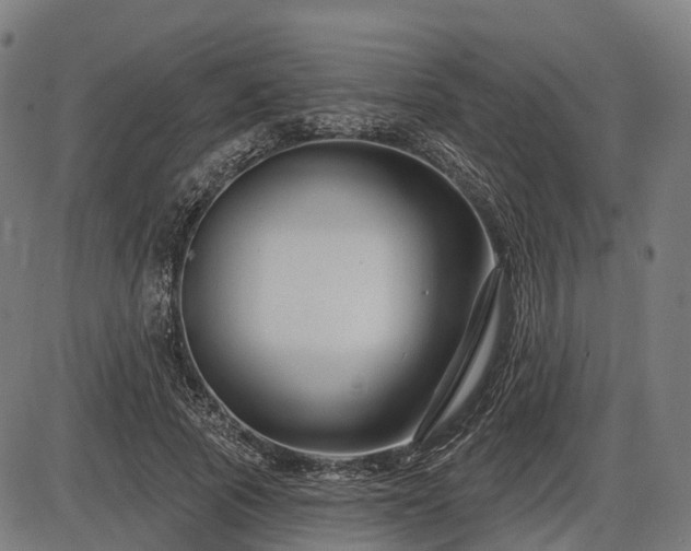 X0000085320737200703161505