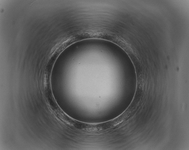 X0000085320740200703161505