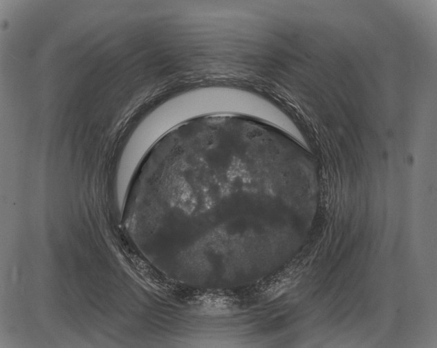 X0000085320742200703161505