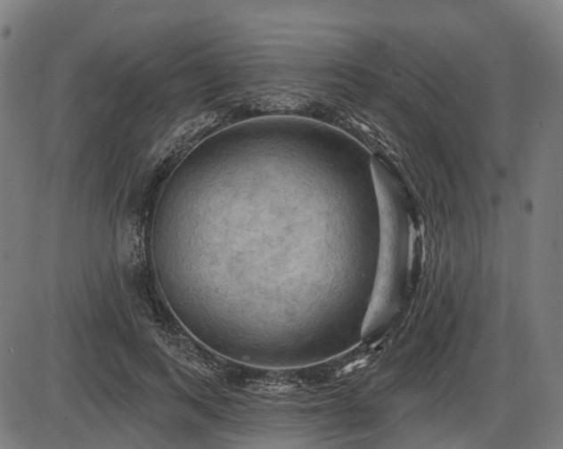 X0000085320743200703161505