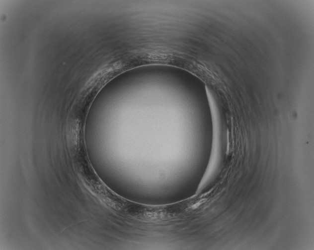 X0000085320744200703161505