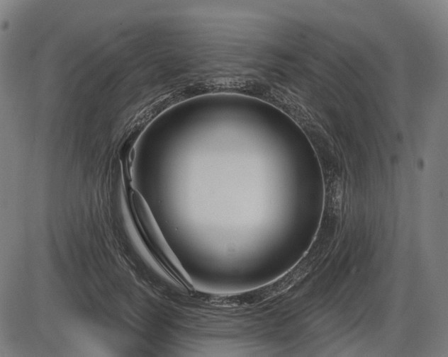 X0000085320746200703161505