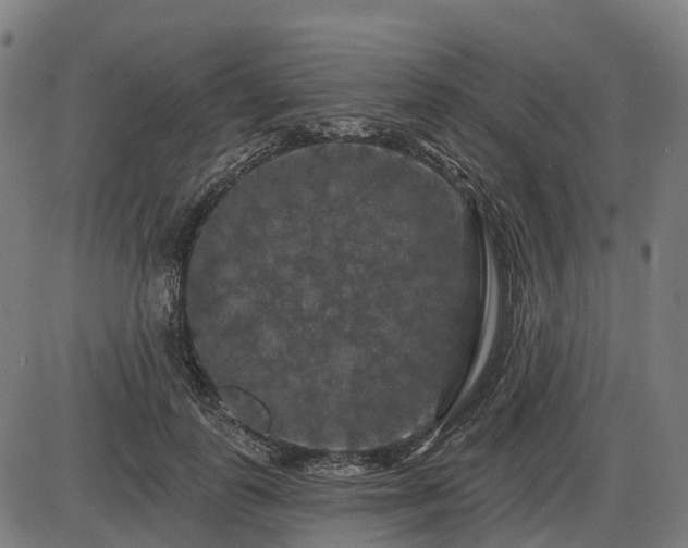 X0000085320747200703161505