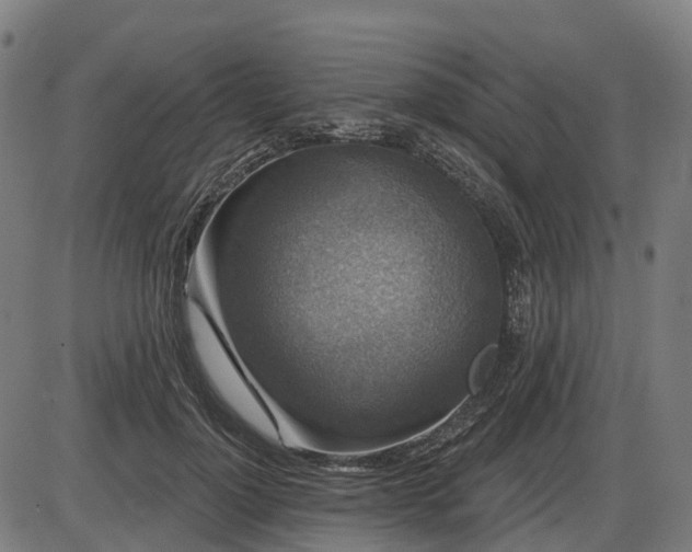 X0000085320748200703161505