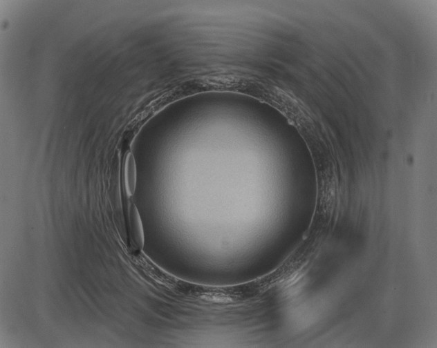 X0000085320749200703161505
