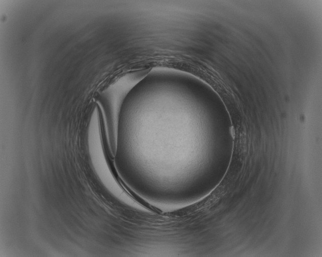 X0000085320750200703161505