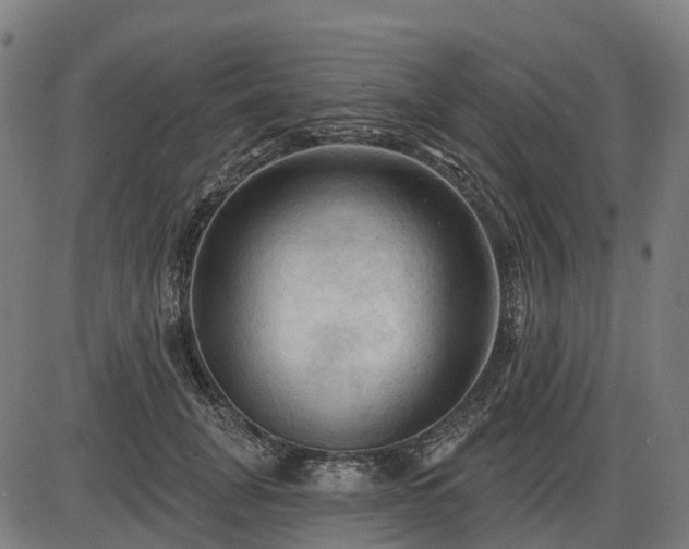 X0000085320751200703161505