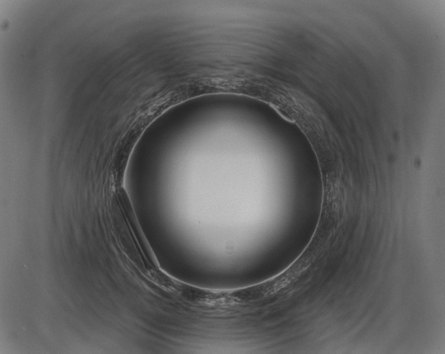 X0000085320752200703161505