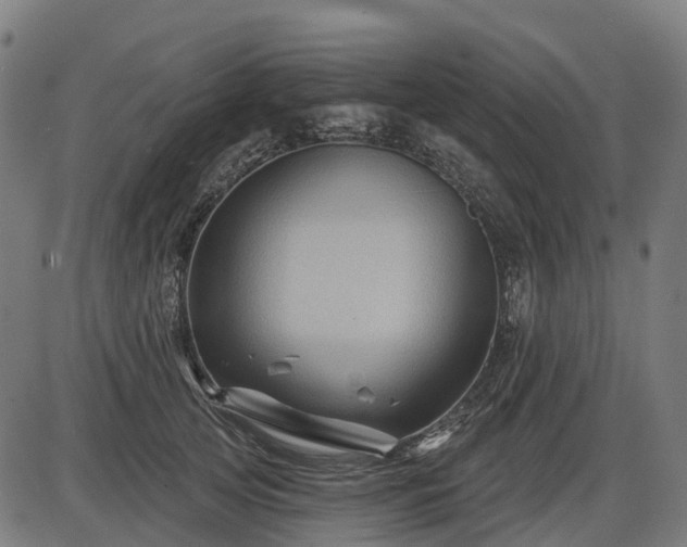 X0000085320753200703161505