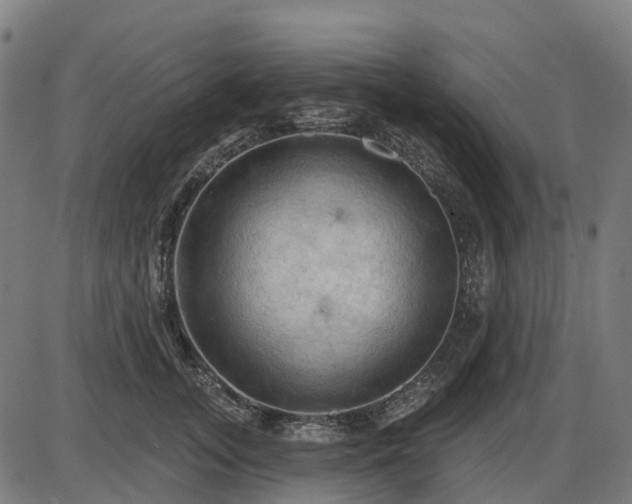 X0000085320755200703161505