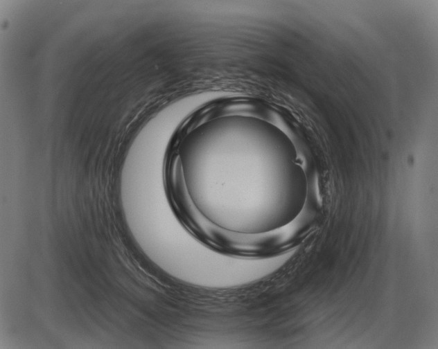 X0000085320756200703161505