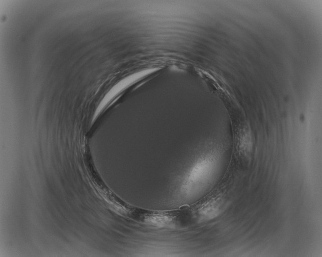 X0000085320759200703161505