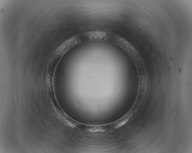 X0000085320761200703161505